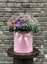 Цветочная композиция из Гипсофила и Розы в шляпной коробке в Димитровграде