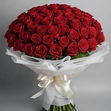 Букет 101 Красная роза Блэк Мэджик в Димитровграде