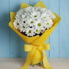 Букет цветов из:  Хризантемы в Димитровграде