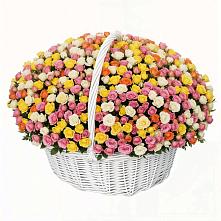 Премиум букет из: Розы в Димитровграде