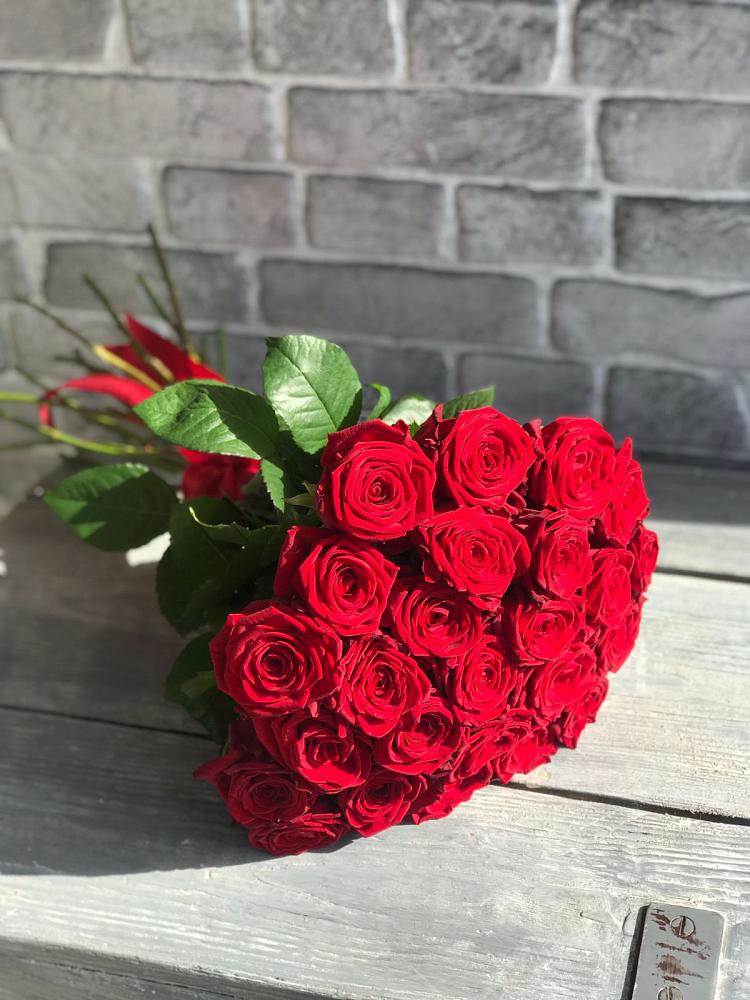 Букет Красные розы Фридом в Димитровграде