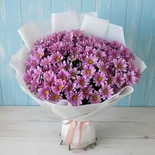 Букет цветов из:  Хризантемы #REPLACE_PRED# Димитровграде