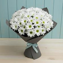 Букет цветов из:  Хризантемы в Димитровграде