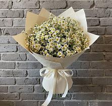Букет цветов из:  Ромашки в Димитровграде