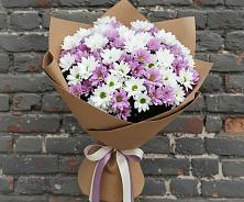 Букет цветов из:  Хризантемы в Димитровграде