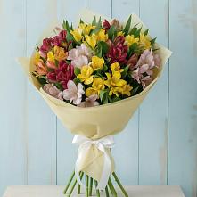 Букет цветов из:  Альстромерии в Димитровграде