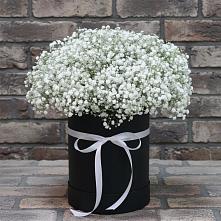 Цветочная композиция из Гипсофила в шляпной коробке в Димитровграде