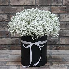 Цветочная композиция из Гипсофила в шляпной коробке в Димитровграде