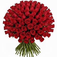 Букет Красные розы Чери Лав в Димитровграде