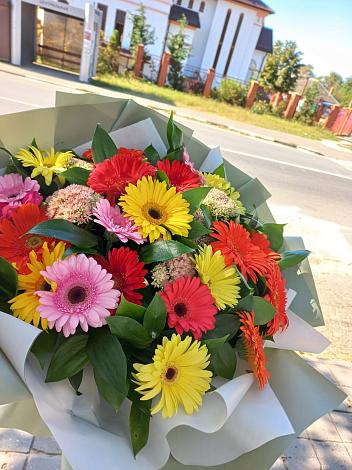 Букет цветов из: Герберы в Димитровграде